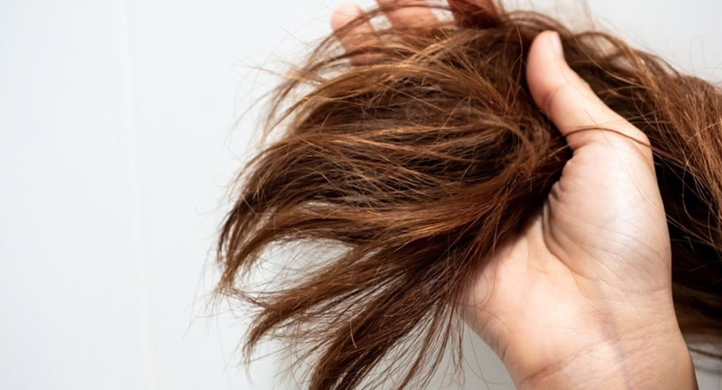 Simple Ways You Can Repair Hair Damage and Reduce Breakage